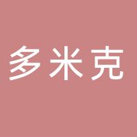 厦门多米克信息技术有限公司